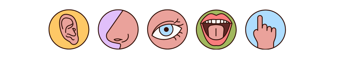 Sensory Processing Needs
