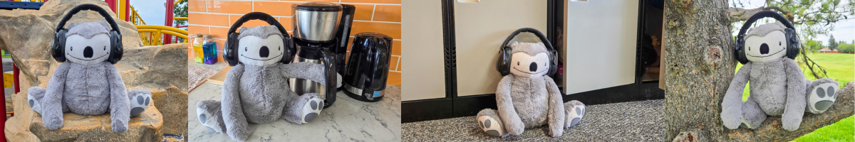 Koda the Sensory Koala